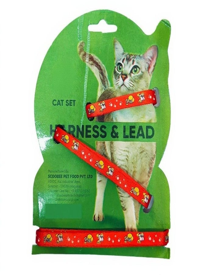 kittuPet Cat Harness with Leash and Collar Set - Escape Proof Adjustable H-shped Cat Harness with Star and Moon Pattern Glow in The Dark for Kitty Outdoor Walking Red Color - Image 2